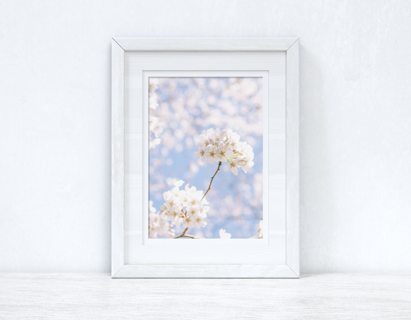 Blossom Tree White Spring Photography Spring Seasonal Wall Home Decor Print