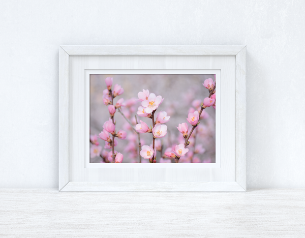 Cherry Spring Blossom Photography Spring Seasonal Wall Home Decor Print