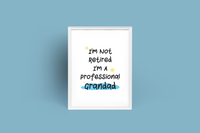 I'm Not Retired I'm A Professional Grandad Fathers Day Collection
