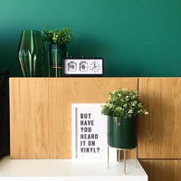 But Have You Heard It On Vinyl? Simple Wall Home Decor Print