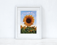 Sunflower Spring Photography Spring Seasonal Wall Home Decor Print