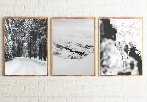 Winter Settings Photography Room Simple Wall Decor 3 Print Set